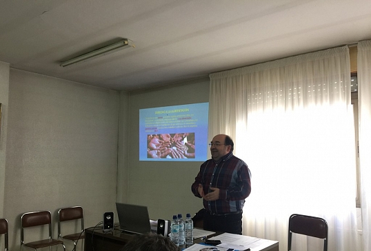 Encuentro de formación y rastrillo solidario de Manos Unidas