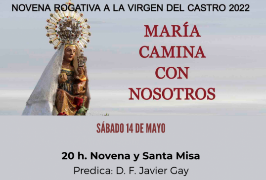 OCTAVO DÍA DE NOVENA ROGATIVA A LA VIRGEN DEL CASTRO