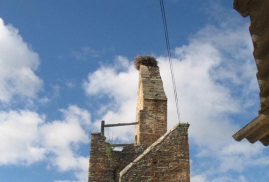 Molezuelas de Carballeda (San Millán)