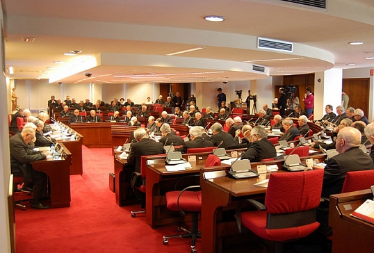 111º Reunión de la Asamblea Plenaria