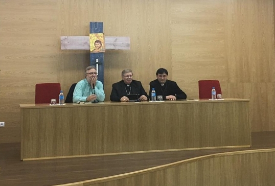 Conferencia sobre el Pensamiento del Papa sobre migraciones