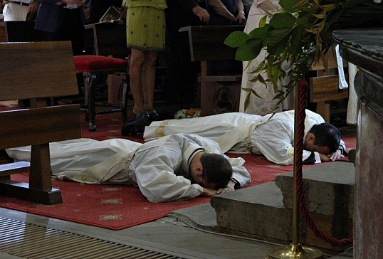 Emotiva ordenación sacerdotal de Fernando y Luis