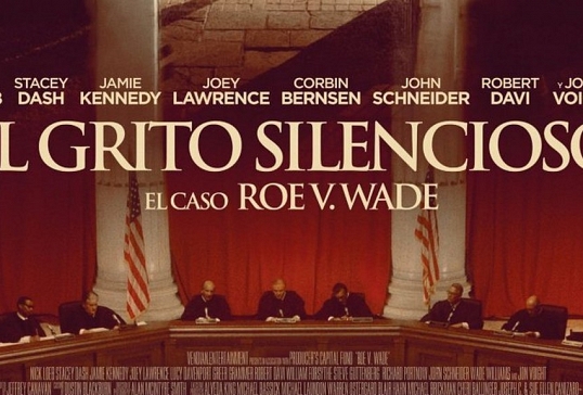 EL GRITO SILENCIOSO