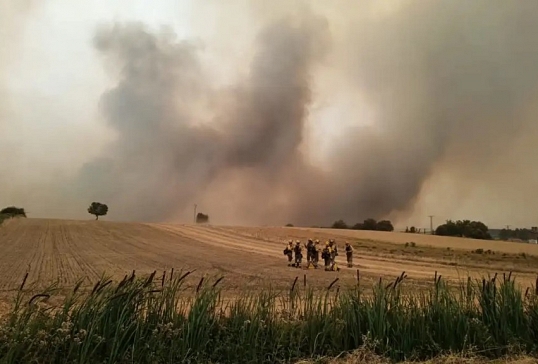 EUCARISTÍA POR LAS VÍCTIMAS DE LOS INCENDIOS EN LA CATEDRAL DE ZAMORA