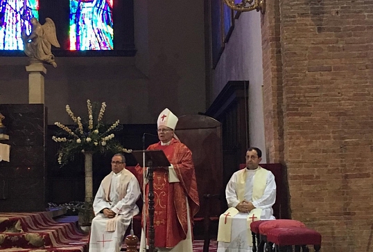 Tercer día de la Peregrinación a Roma y Brindis